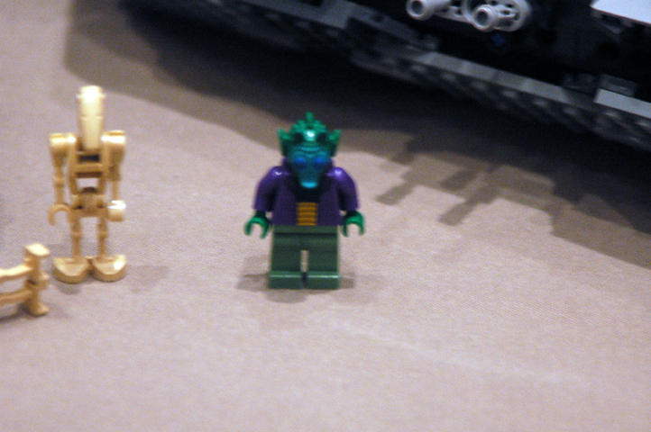 dsc_3292.jpg