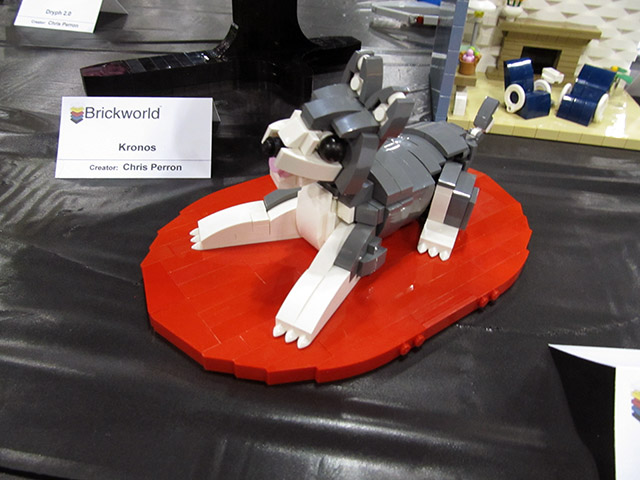 0img_6225.jpg