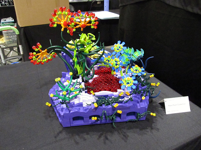 img_9704.jpg