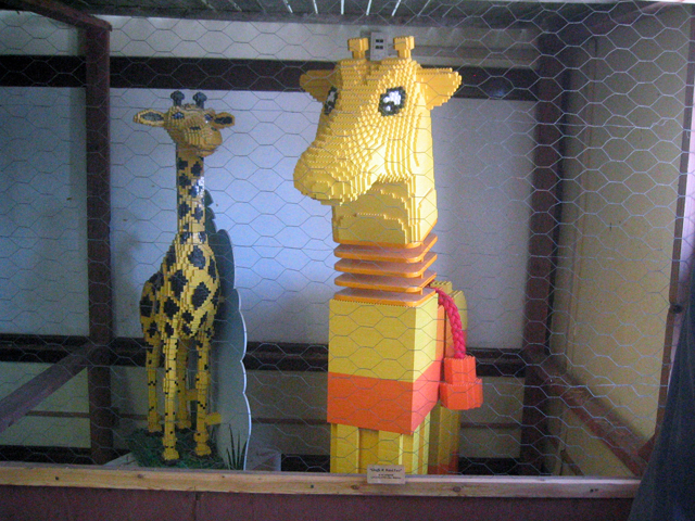 img_3337.jpg