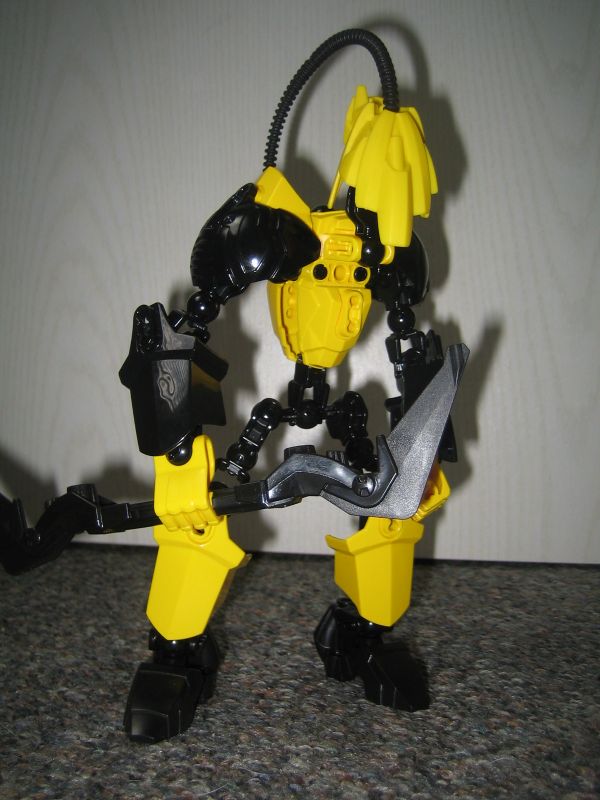 nova_001.jpg