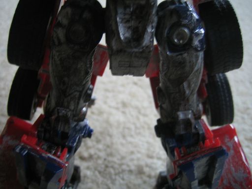 prime_002.jpg