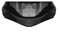 odst.png