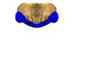 eva_helmet_blue.png