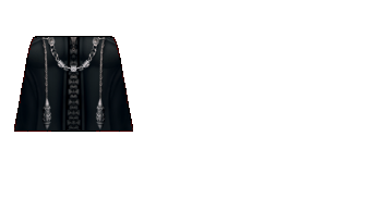 organization_xiii_coat.png
