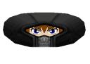 organization_xiii_member_hood.png