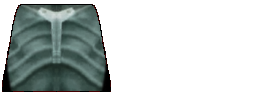 skull_suit.png