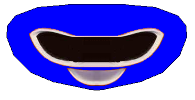 power_ranger_omega_blue_helmet.png