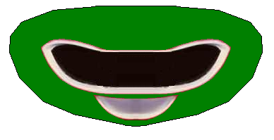 power_ranger_omega_green_helmet.png