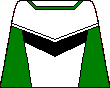 power_ranger_zeta_green.png