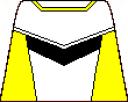 power_ranger_zeta_yellow.png