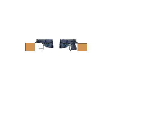 fox_arm_with_gun.bmp