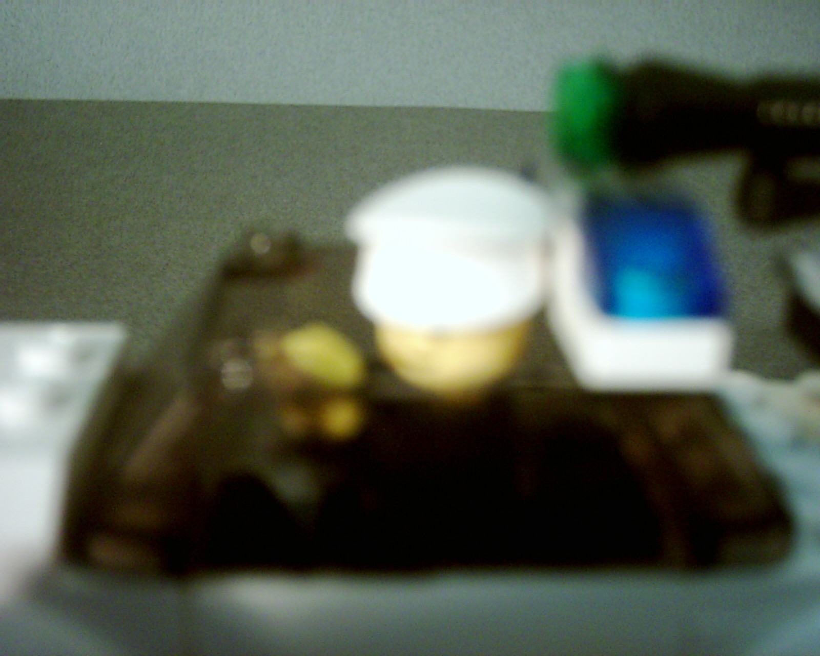 dsci0022.jpg