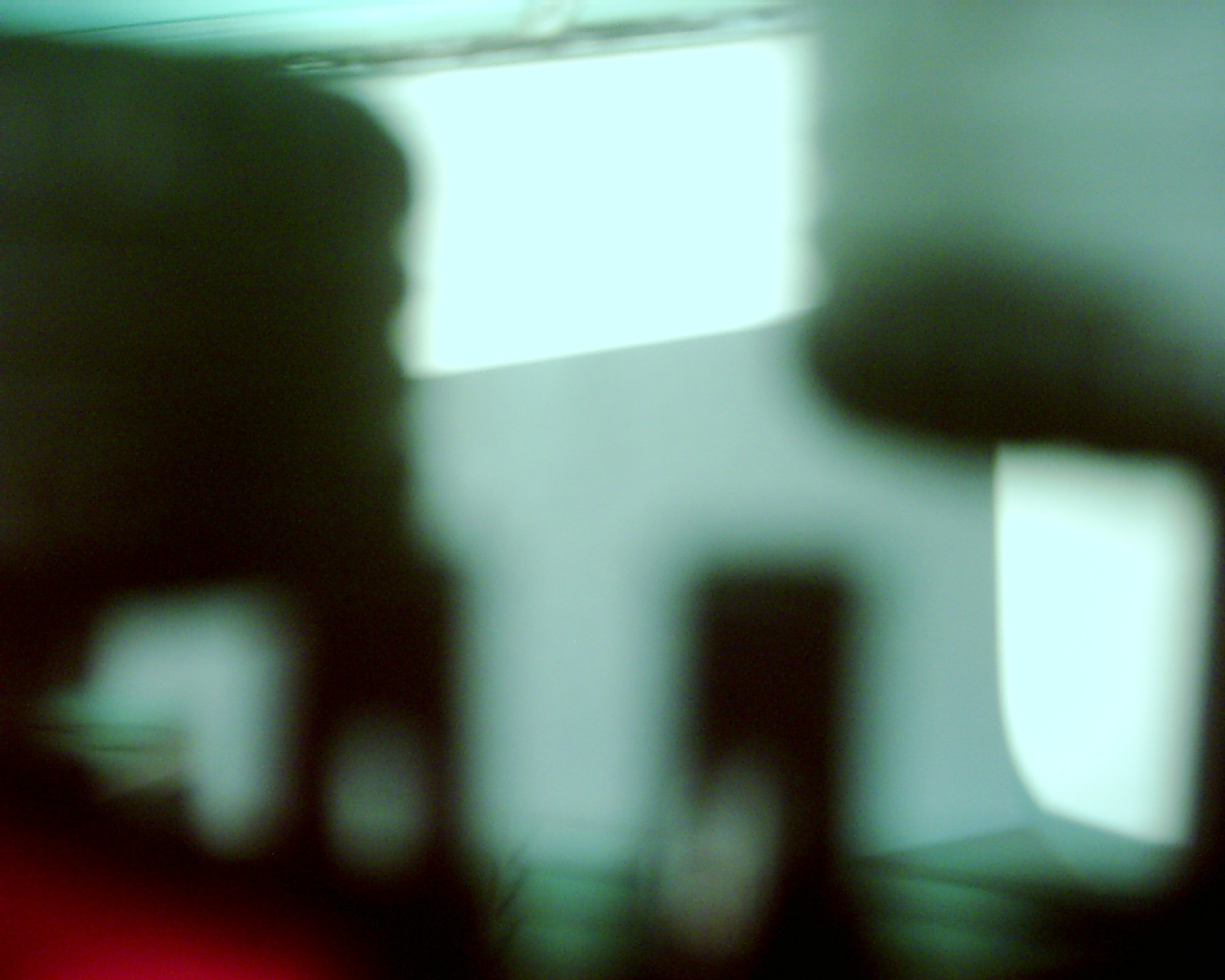 dsci0079.jpg