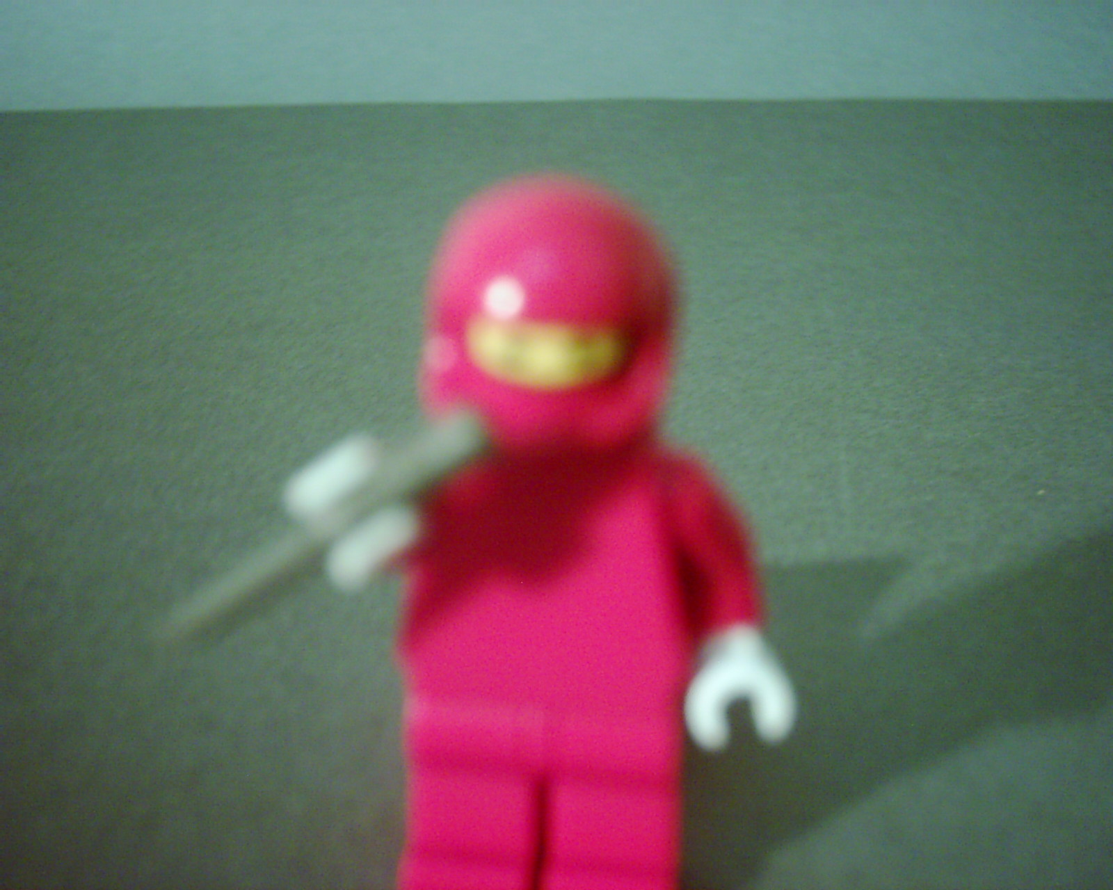 dsci0106.jpg