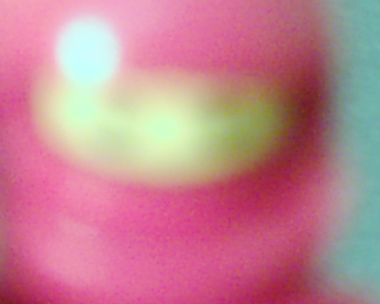 dsci0109.jpg