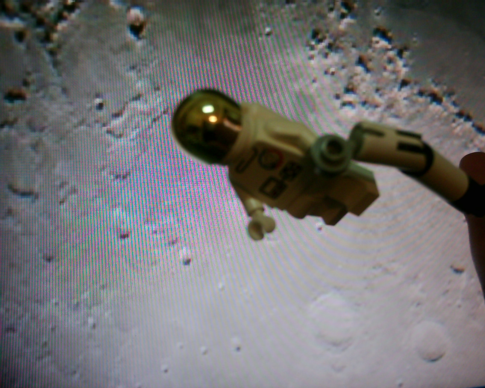 dsci0102.jpg