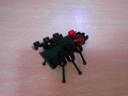 fly-002.jpg