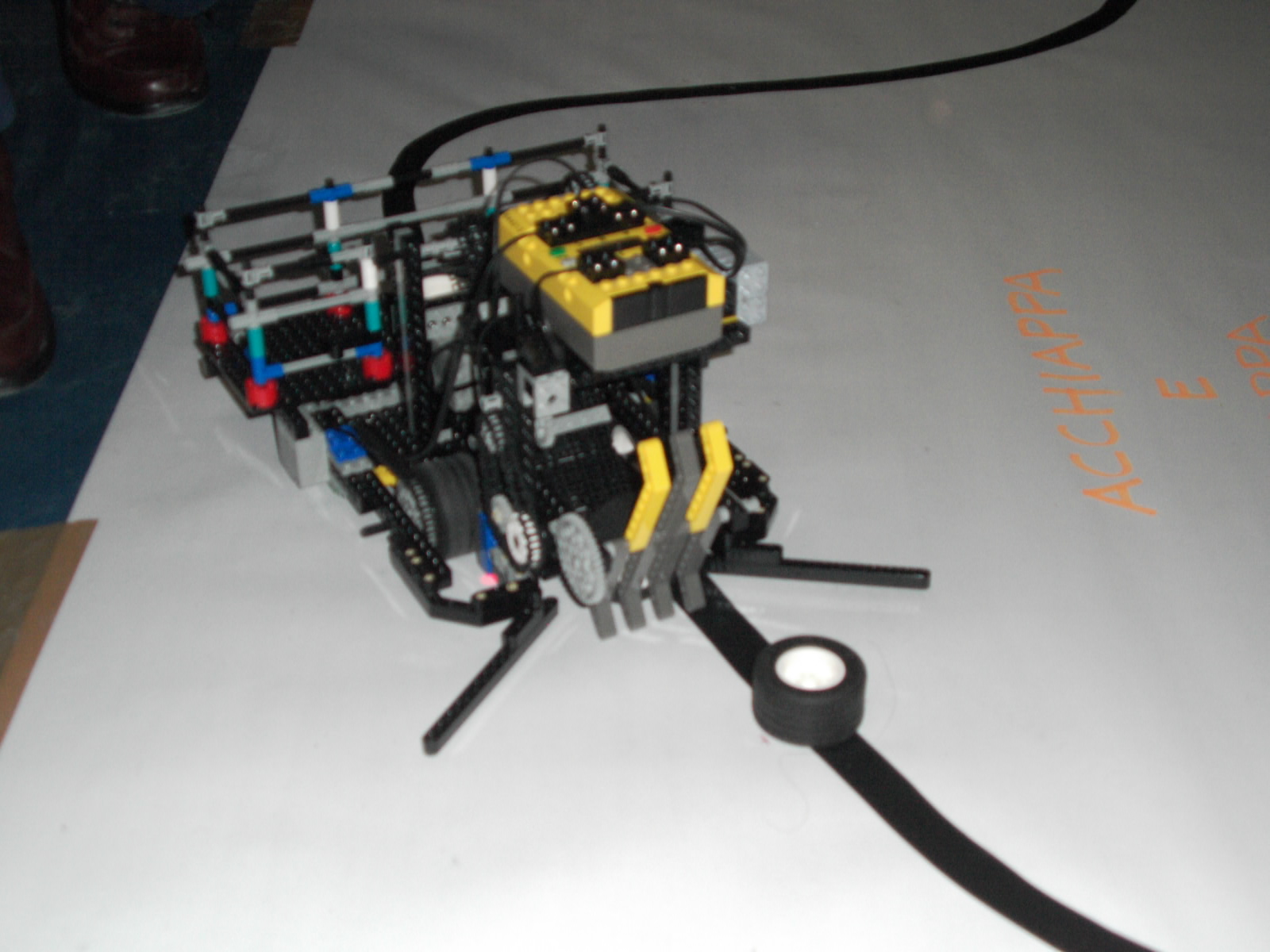 dsci0050.jpg