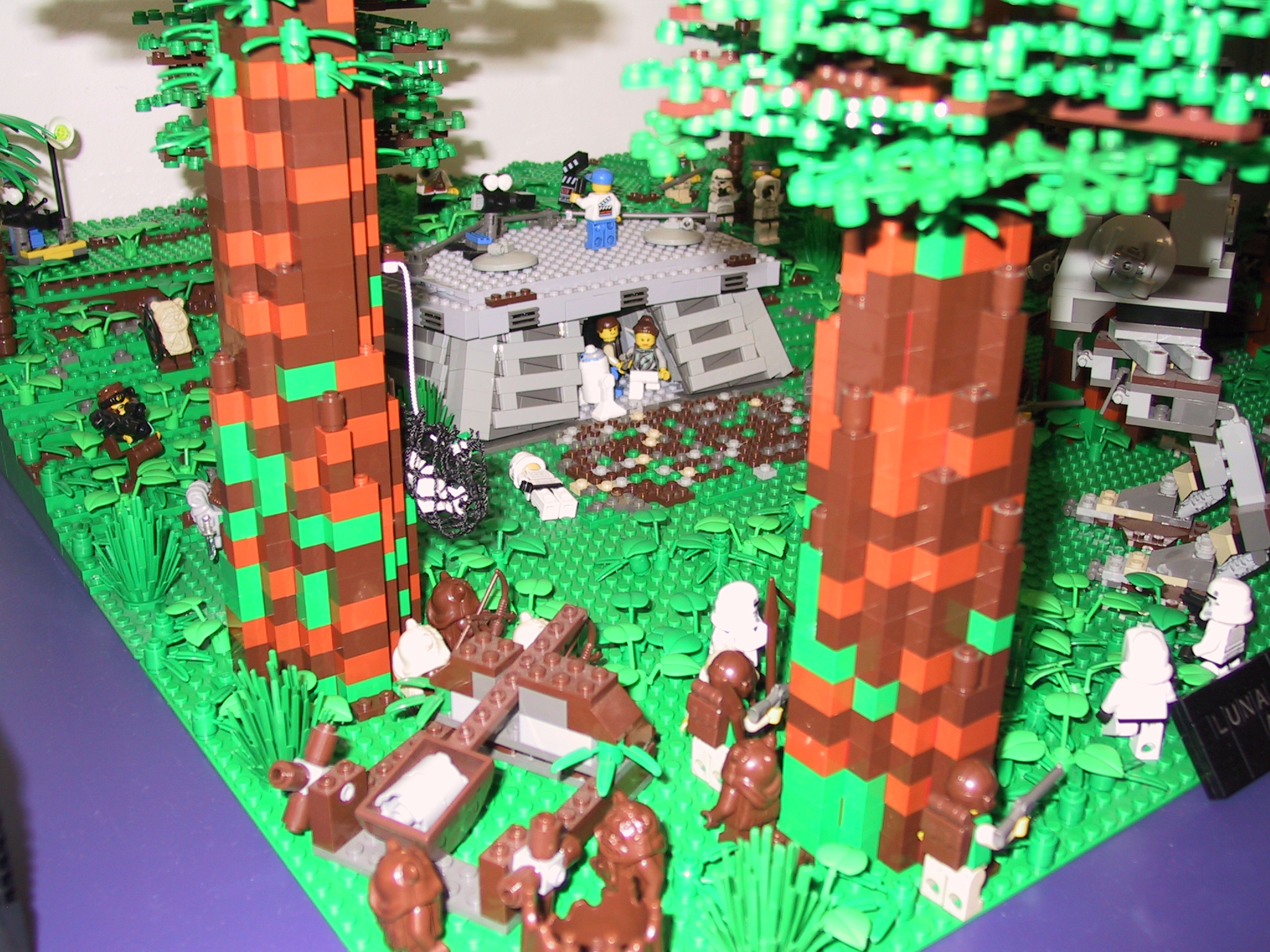 endor4.jpg