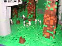 endor6.jpg