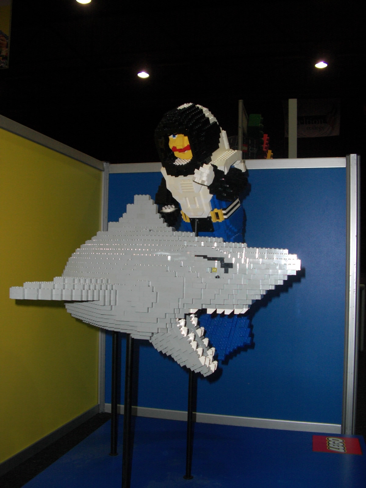 dsci0086.jpg