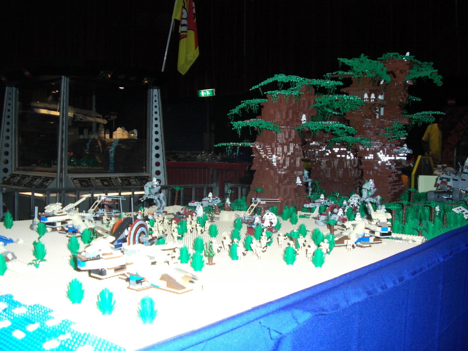 dsci0110.jpg