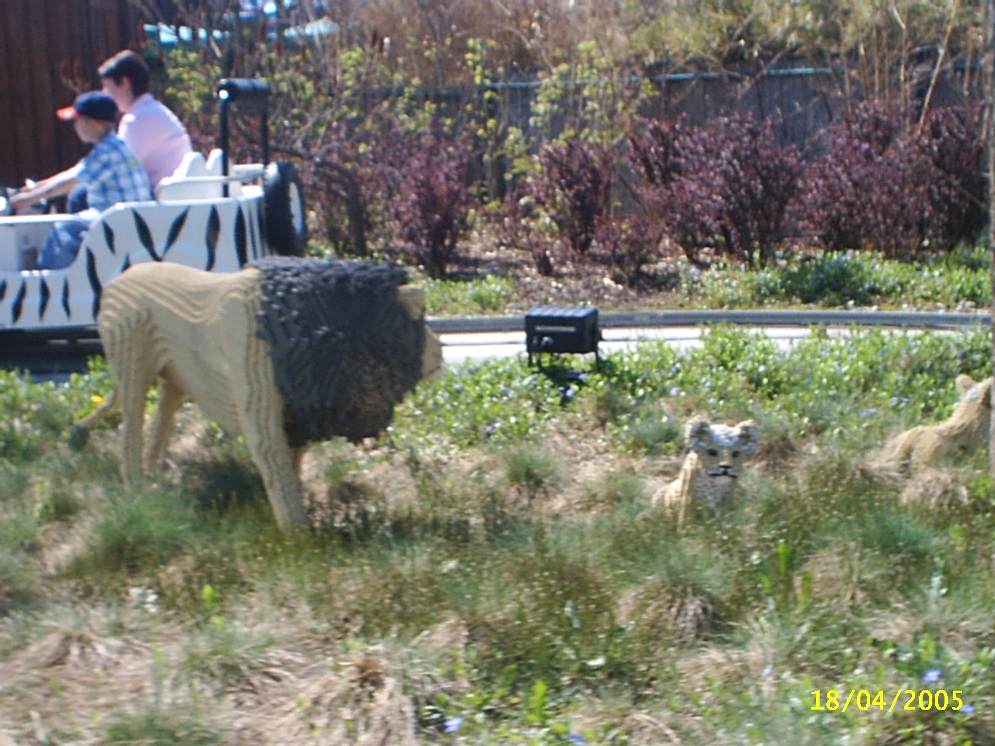 pic_0115.jpg