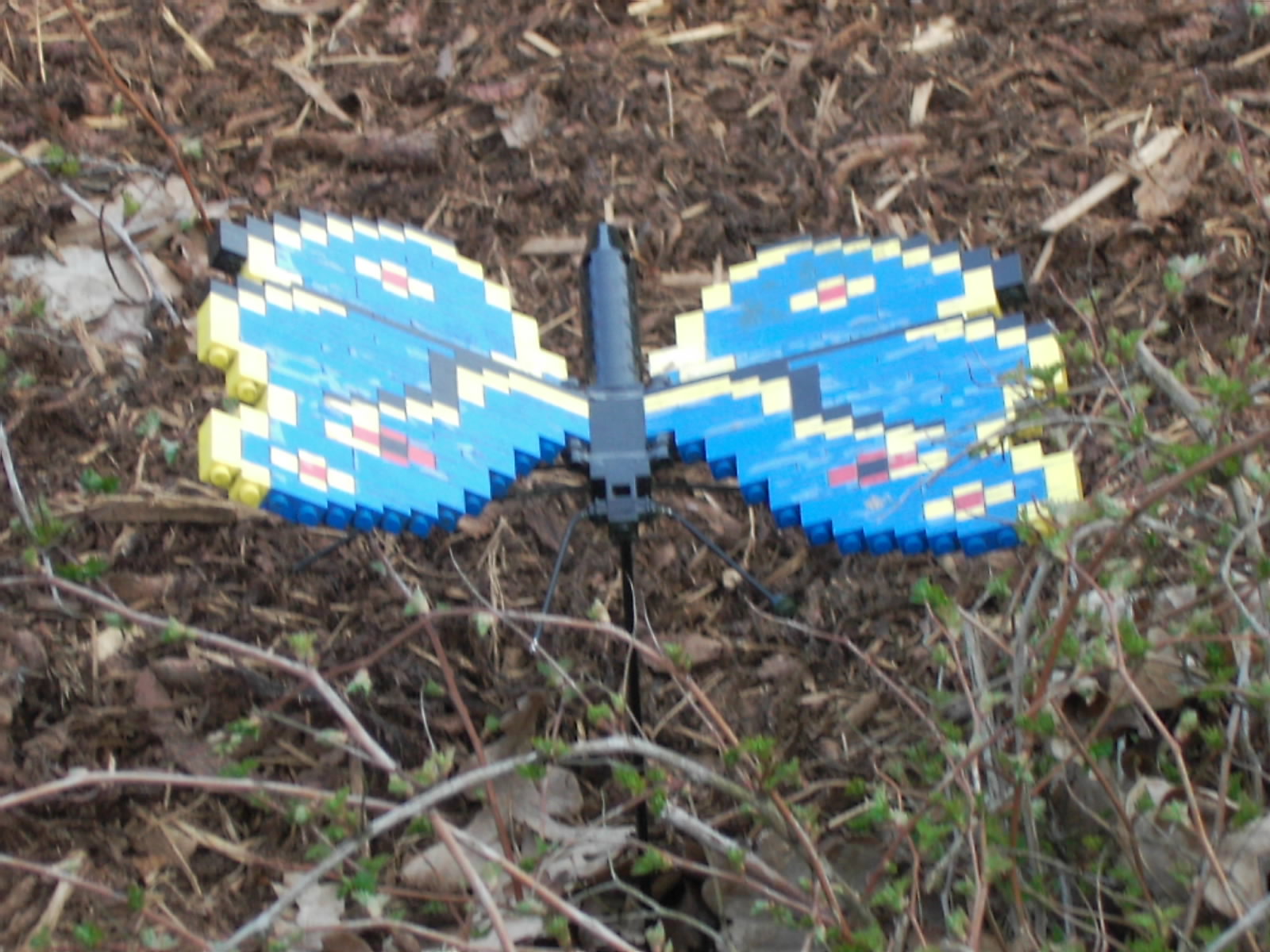 dsci0115.jpg