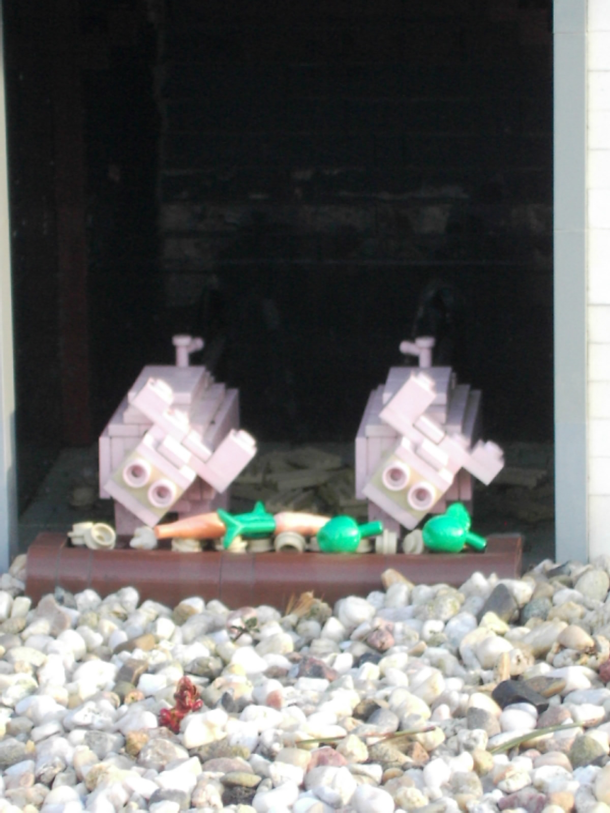 dsci0130.jpg