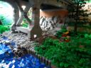 bridge_07.jpg