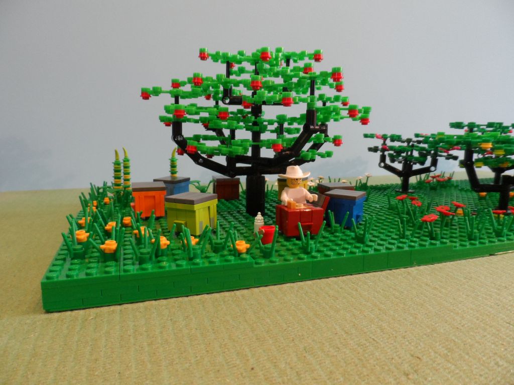 orchard_2.jpg