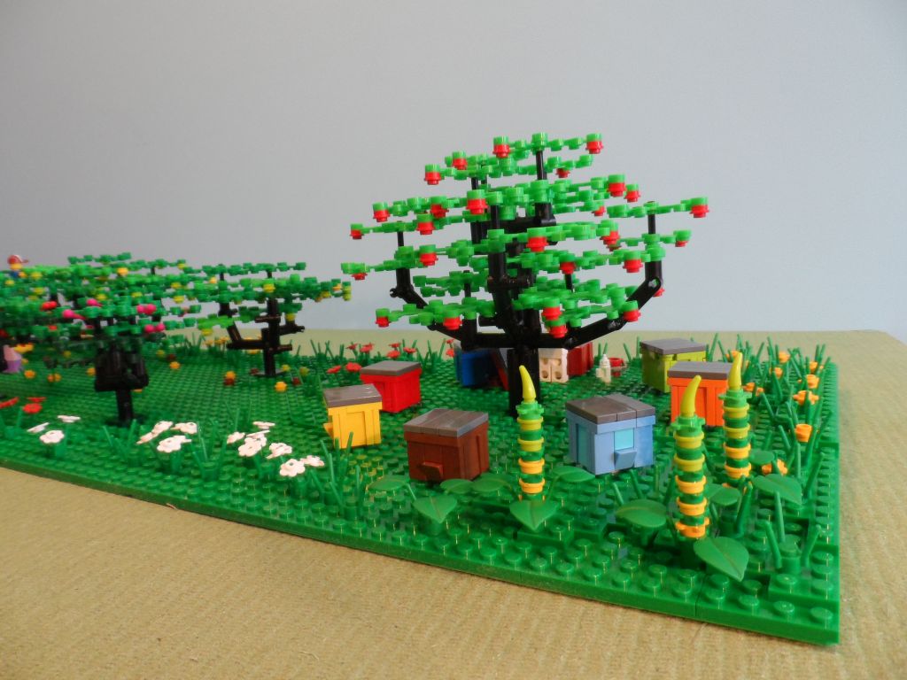 orchard_3.jpg