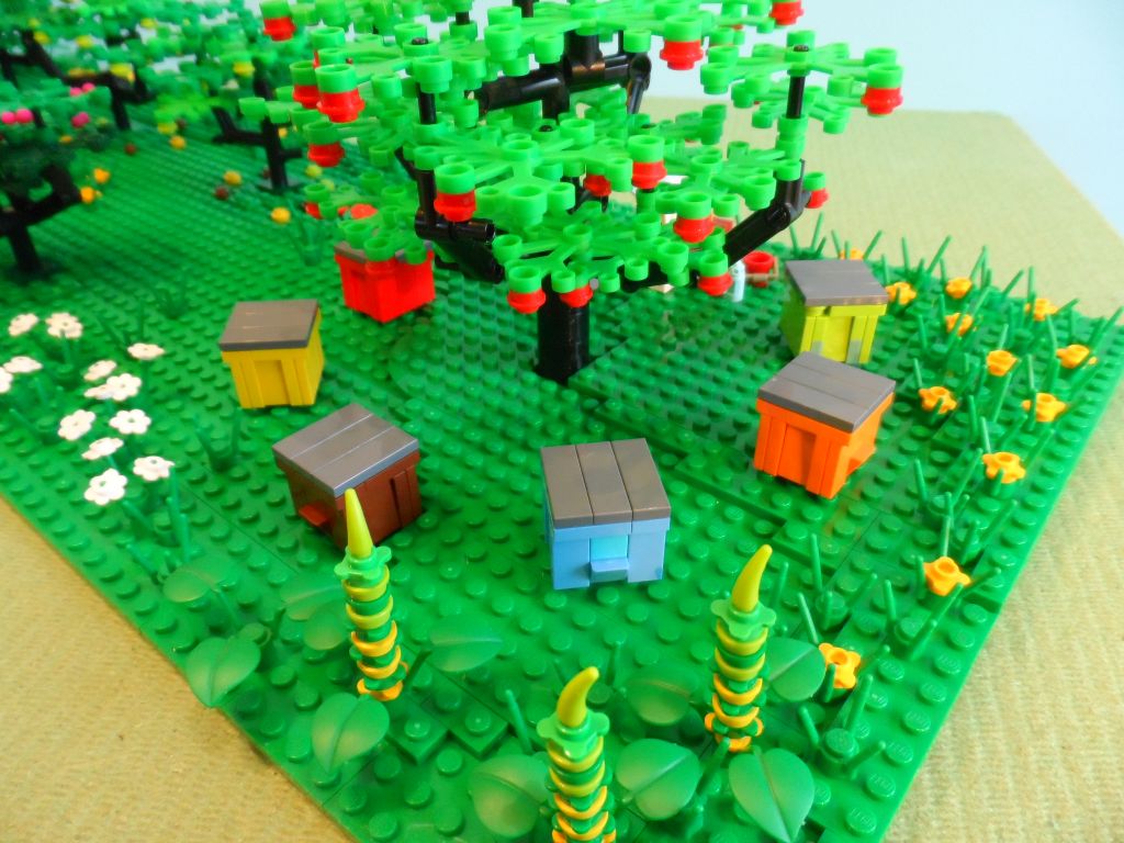 orchard_4.jpg