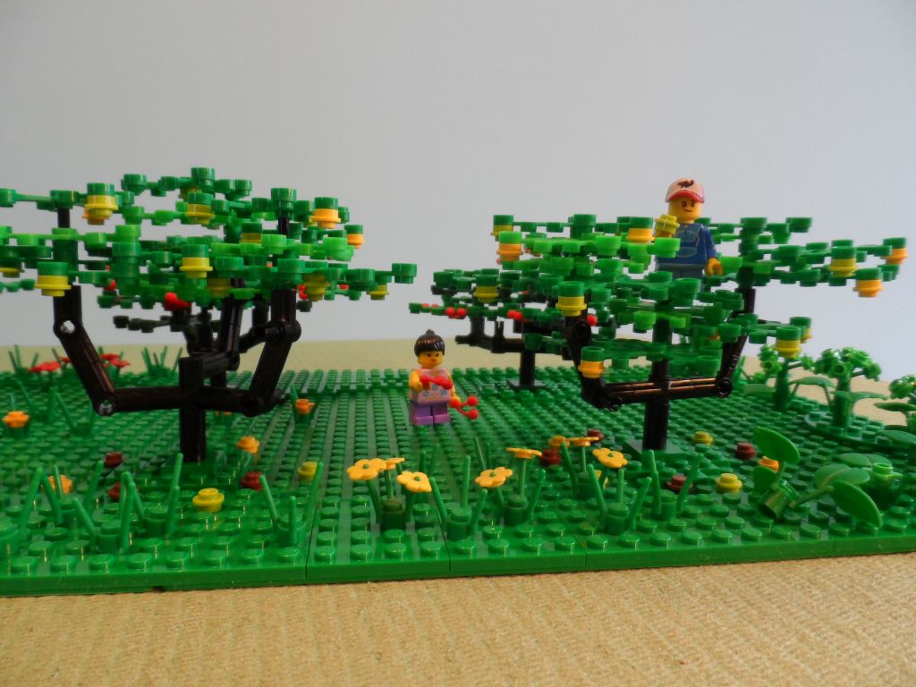orchard_6.jpg