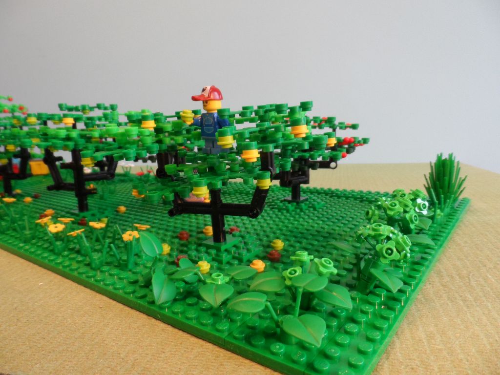 orchard_7.jpg
