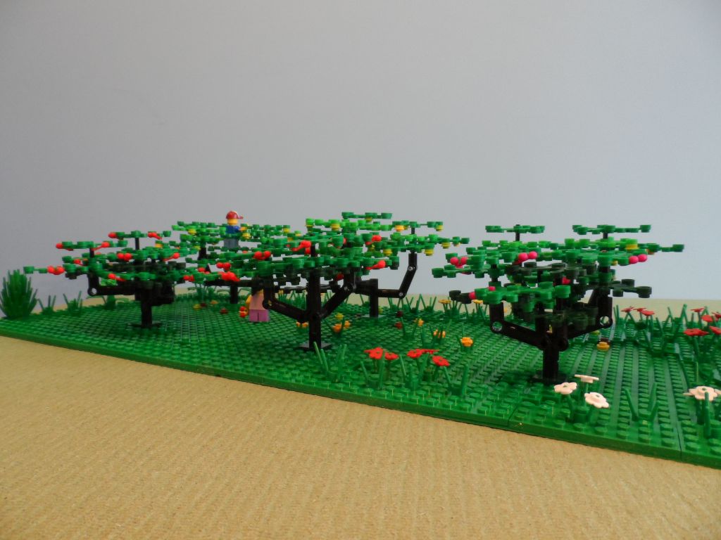 orchard_8.jpg