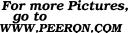 _peeron.gif
