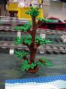tree.jpg