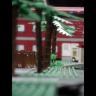 trees.jpg