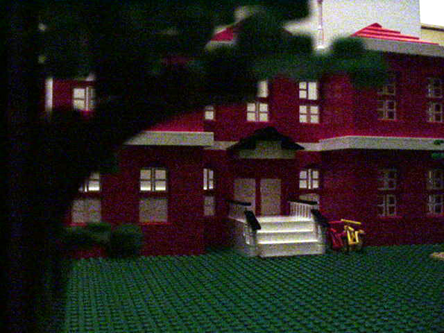 tree2.jpg
