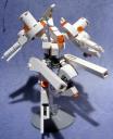 07-all-shooting2.jpg