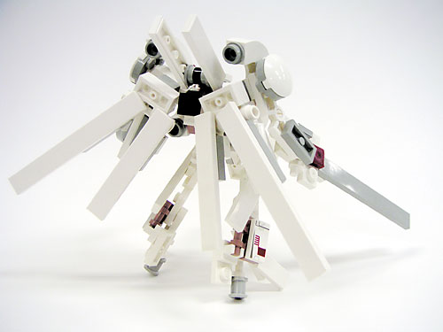 2-back.jpg