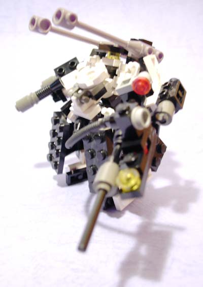 28.jpg