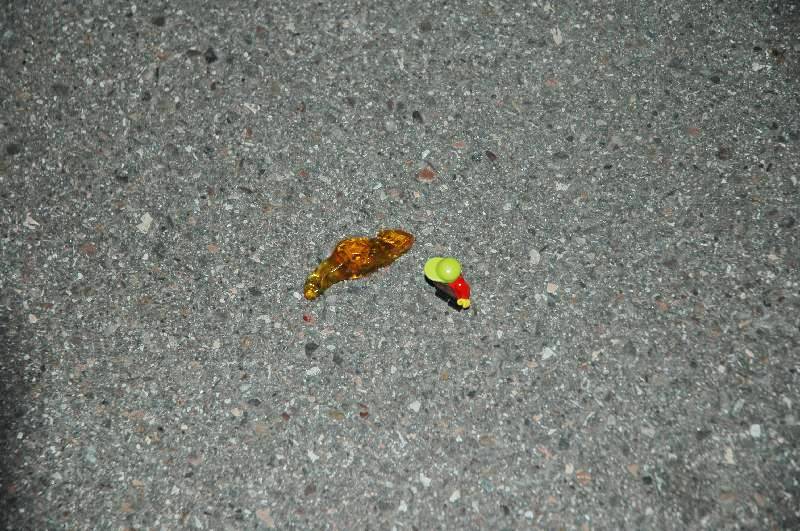 dsc_1112.jpg