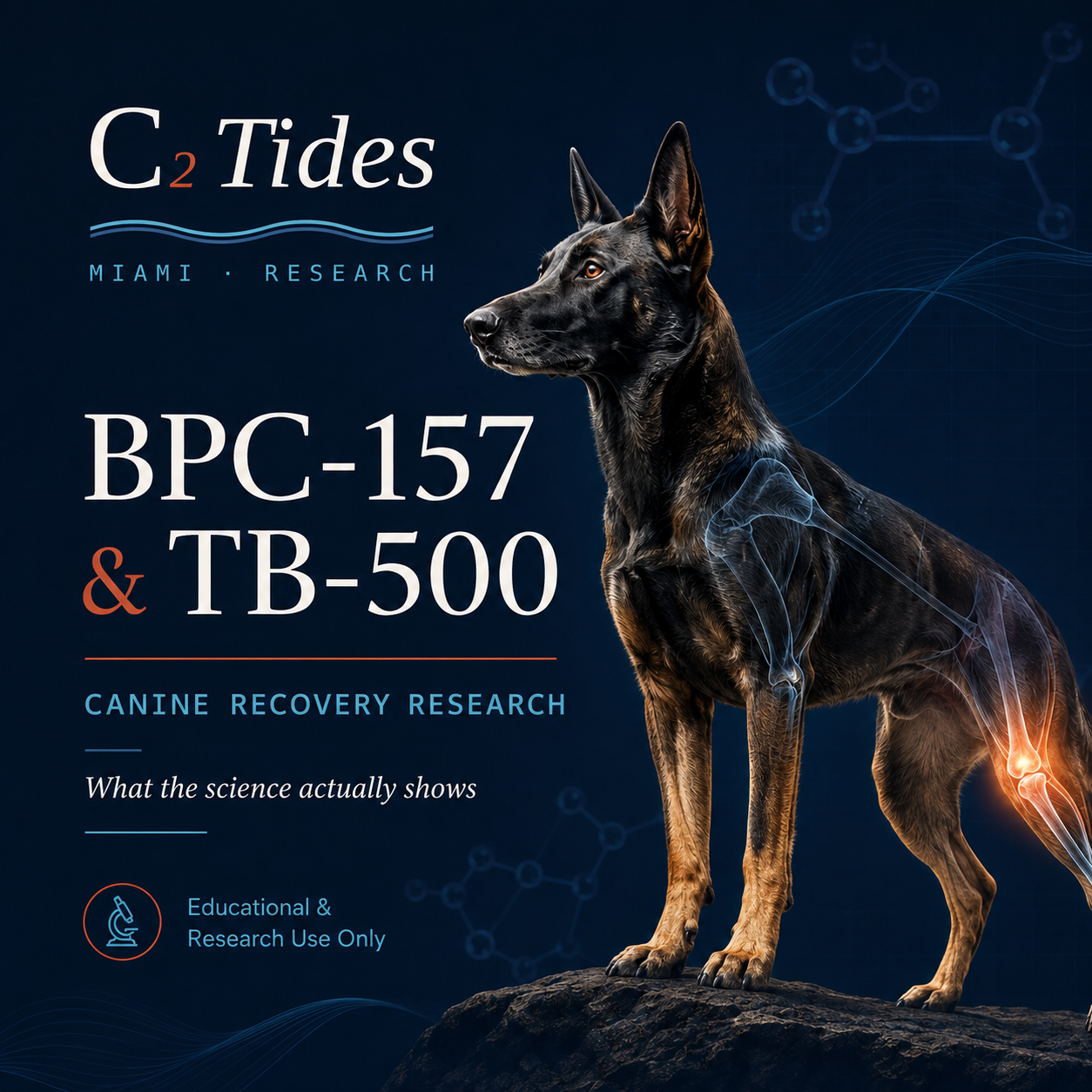 BPC-157 & TB-500 in Canine Recovery Research: What the Science Actually Shows