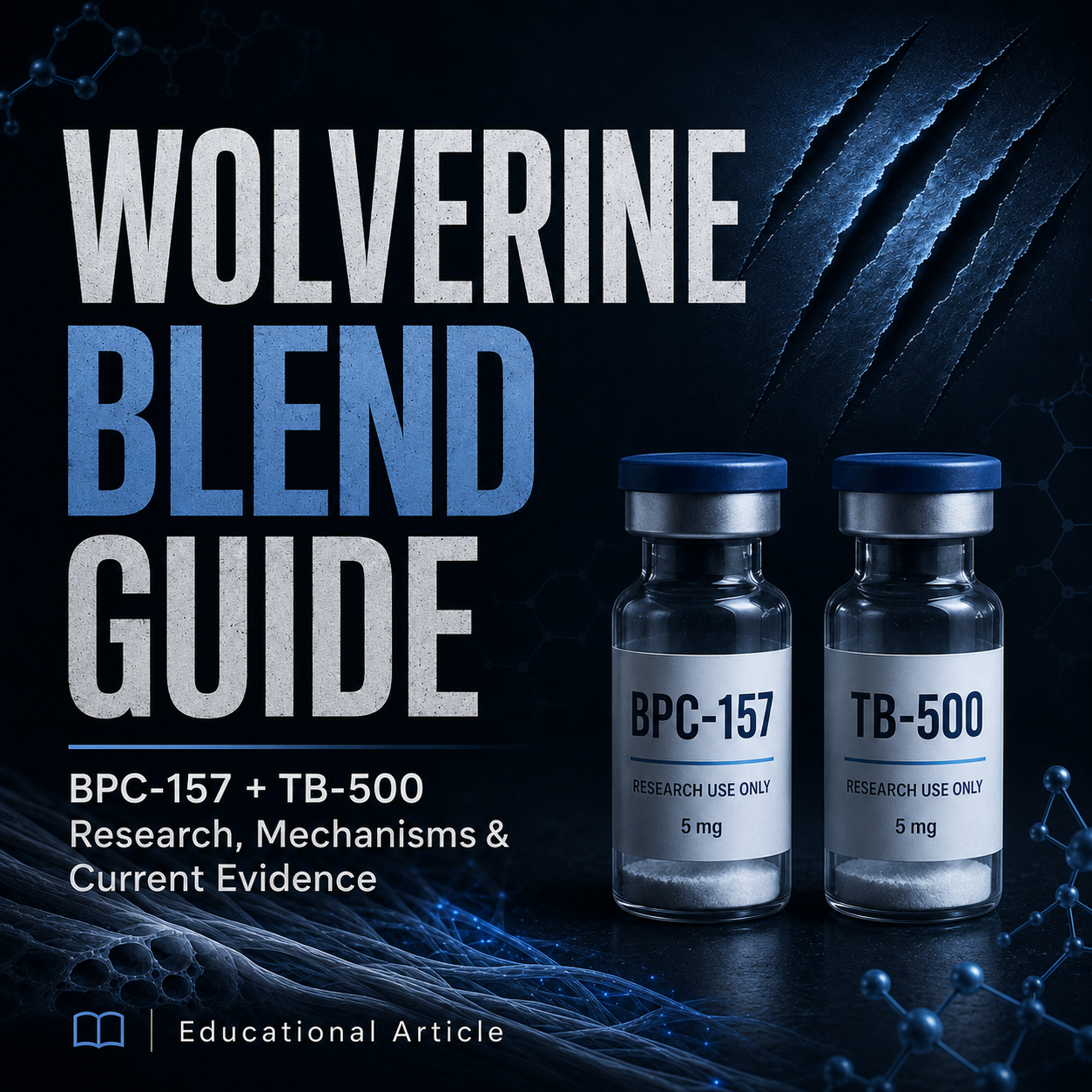 Wolverine Blend Guide: BPC-157 + TB-500 Research, Mechanisms & Current Evidence