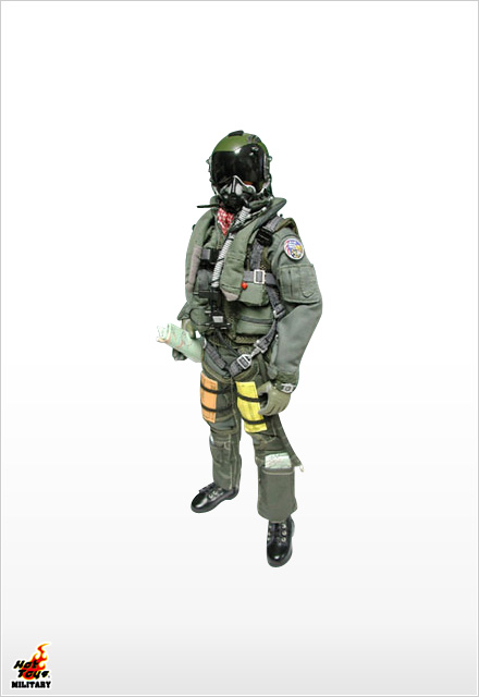 F-16 Falcon Pilot