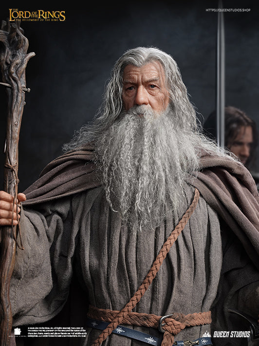 The Lord of the Rings: The Fellowship of the Ring - Gandalf