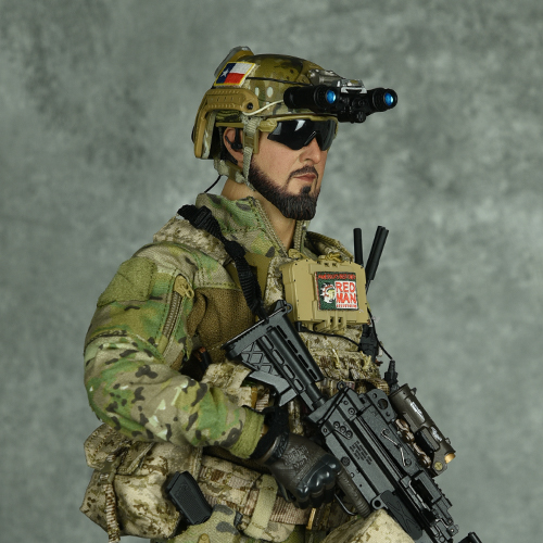 N.S.W.D.G Infiltration Team